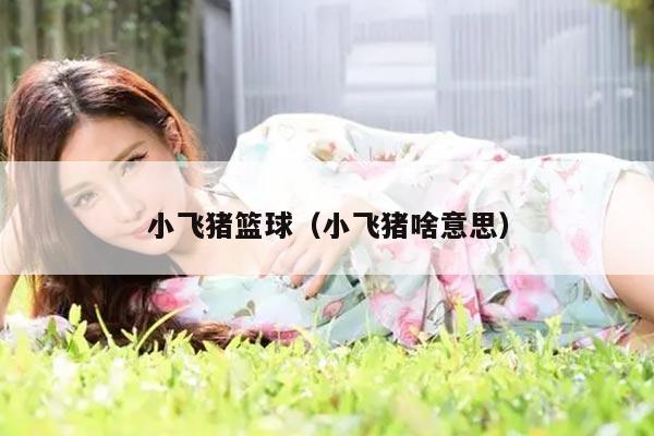 小飞猪篮球（小飞猪啥意思）