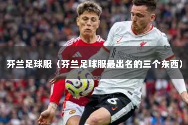 芬兰足球服（芬兰足球服最出名的三个东西）