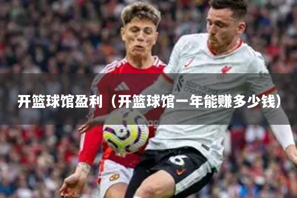 开篮球馆盈利（开篮球馆一年能赚多少钱）